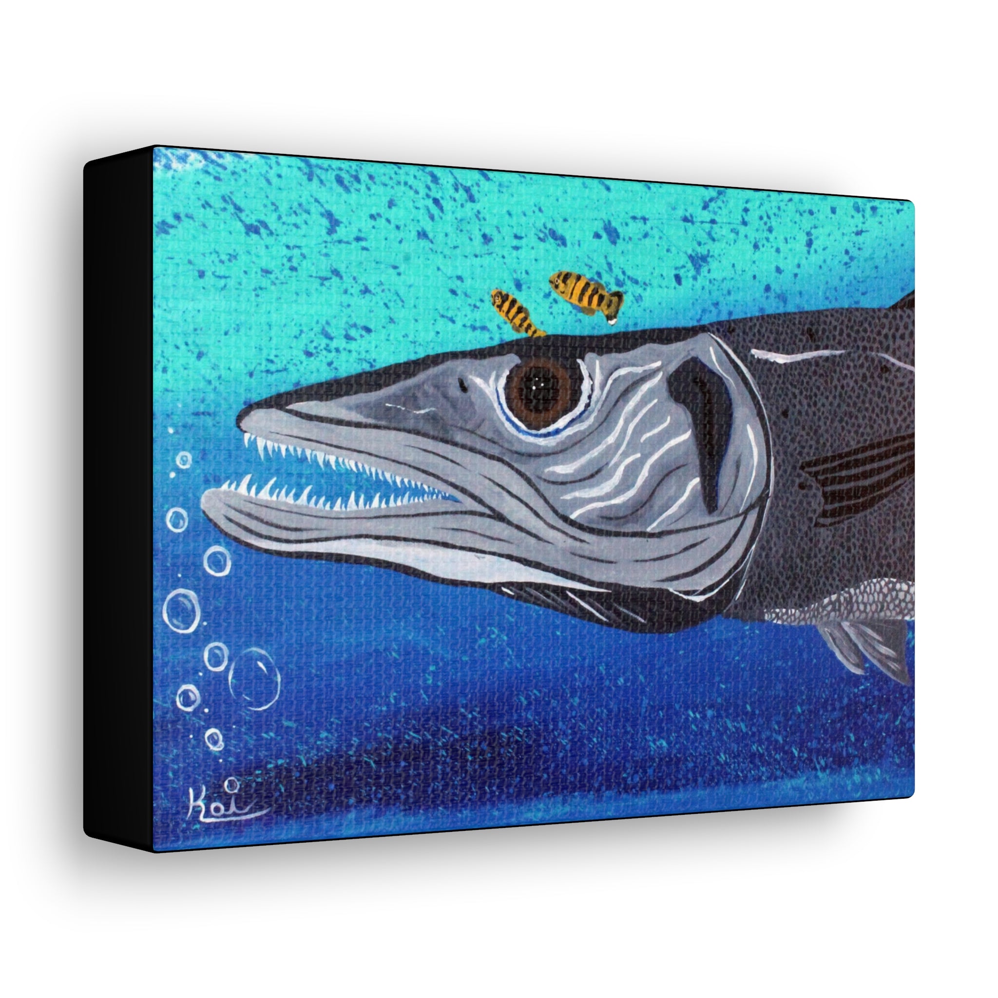 "Ooh! Barracuda" By Kai Gentile Reproduced On Gallery Wrapped Canvas