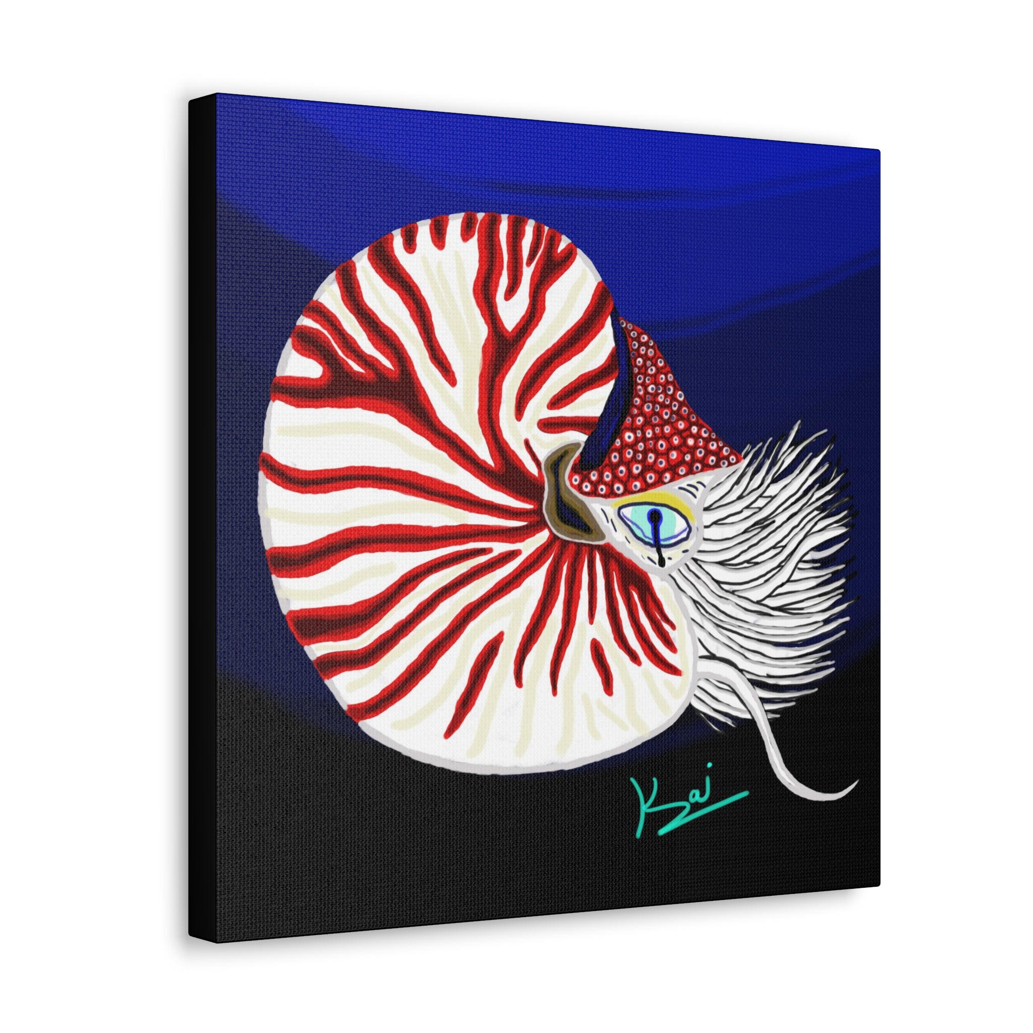 "Nautilus" By Kai Gentile Reproduced On Gallery Wrapped Canvas