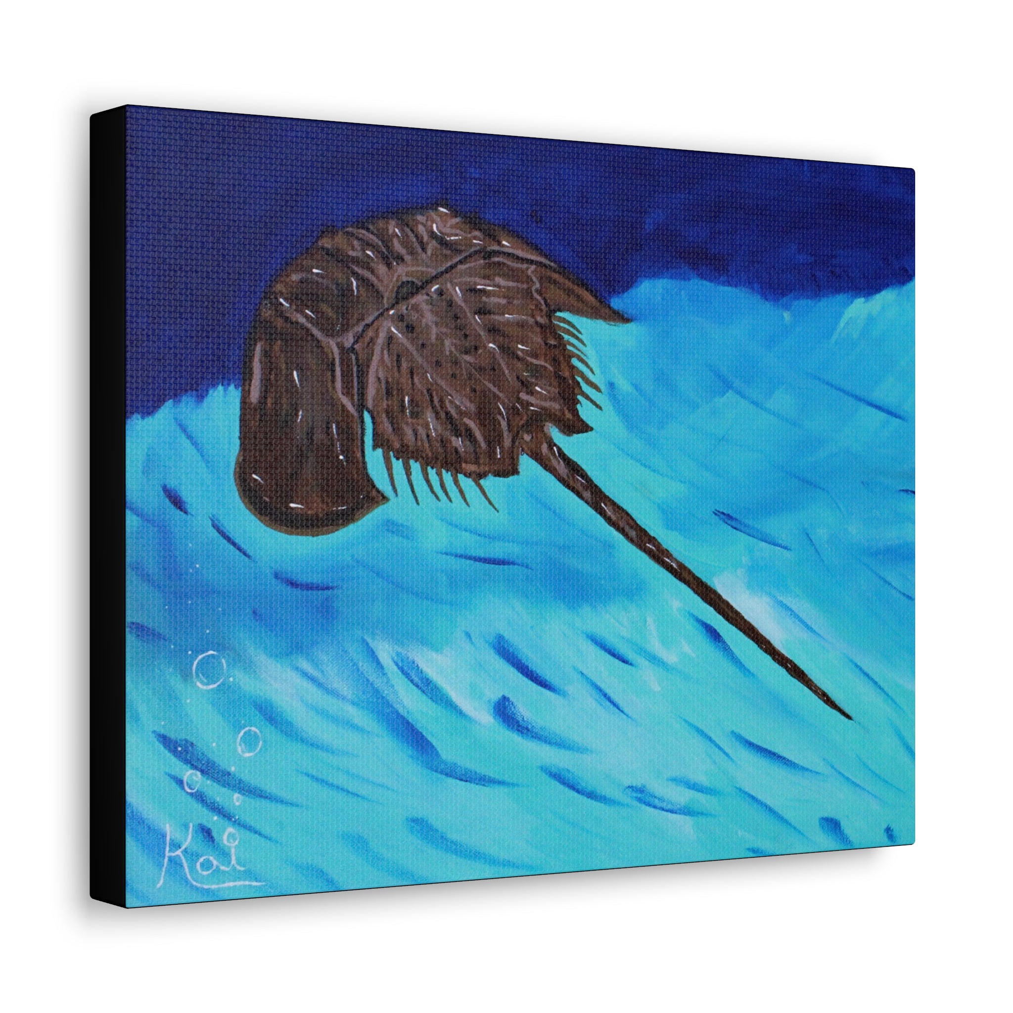 "Horseshoe Crab" By Kai Gentile Reproduced On Gallery Wrapped Canvas