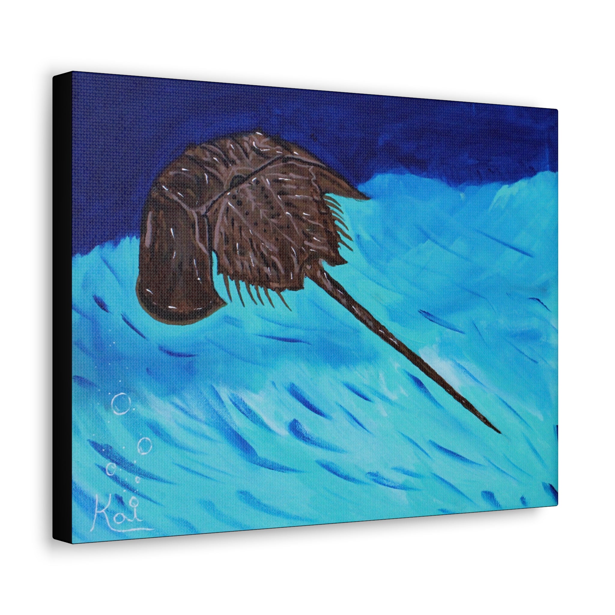 "Horseshoe Crab" By Kai Gentile Reproduced On Gallery Wrapped Canvas