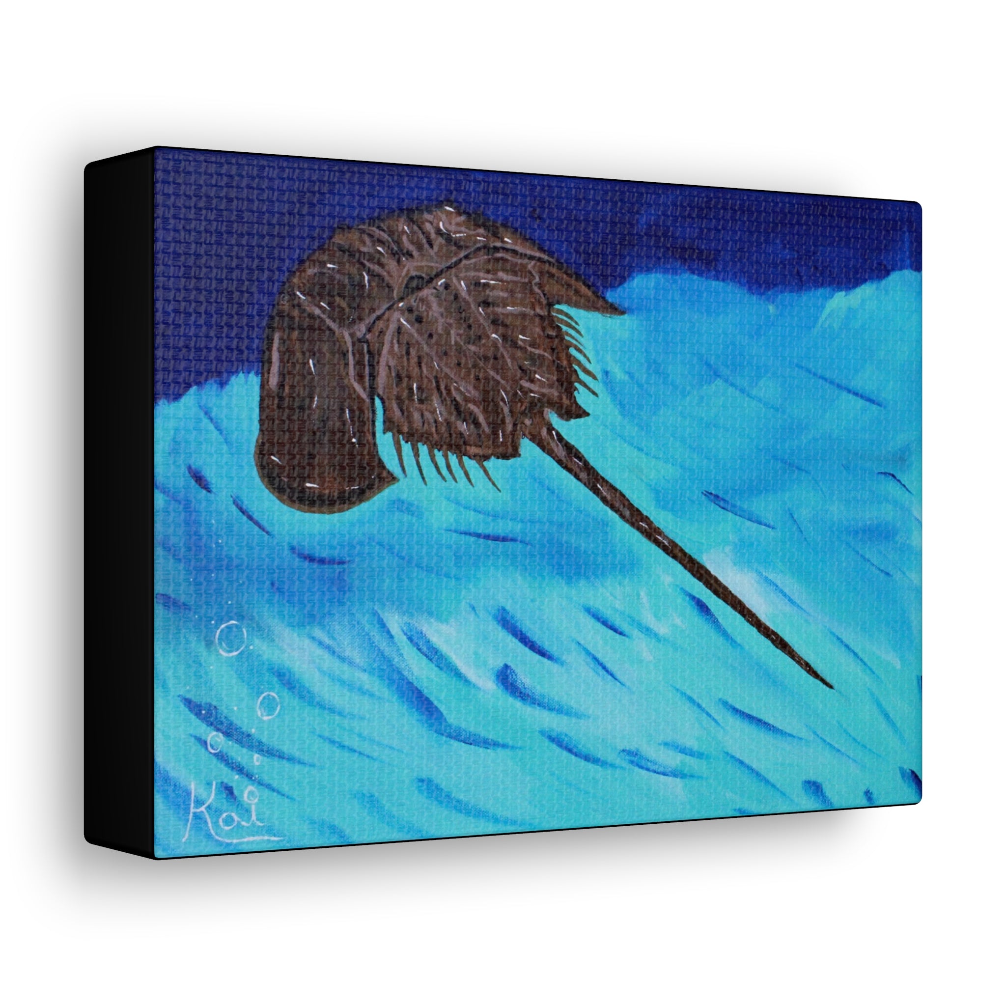 "Horseshoe Crab" By Kai Gentile Reproduced On Gallery Wrapped Canvas