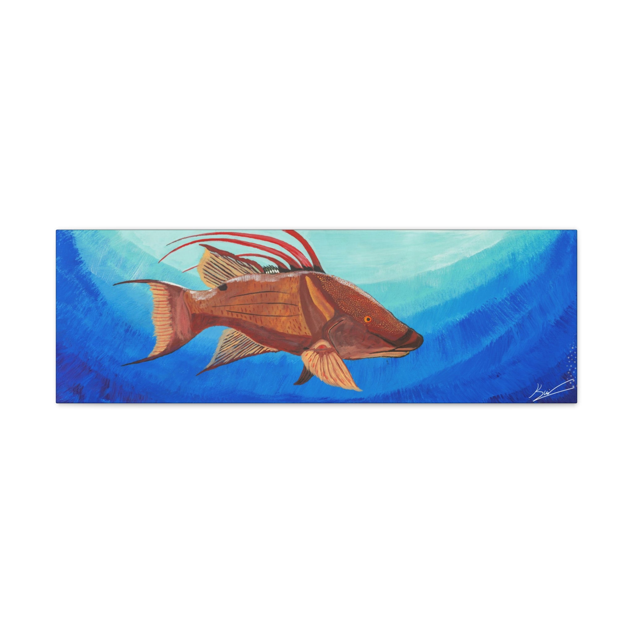 "Hogfish" By Kai Gentile Reproduced On Gallery Wrapped Canvas