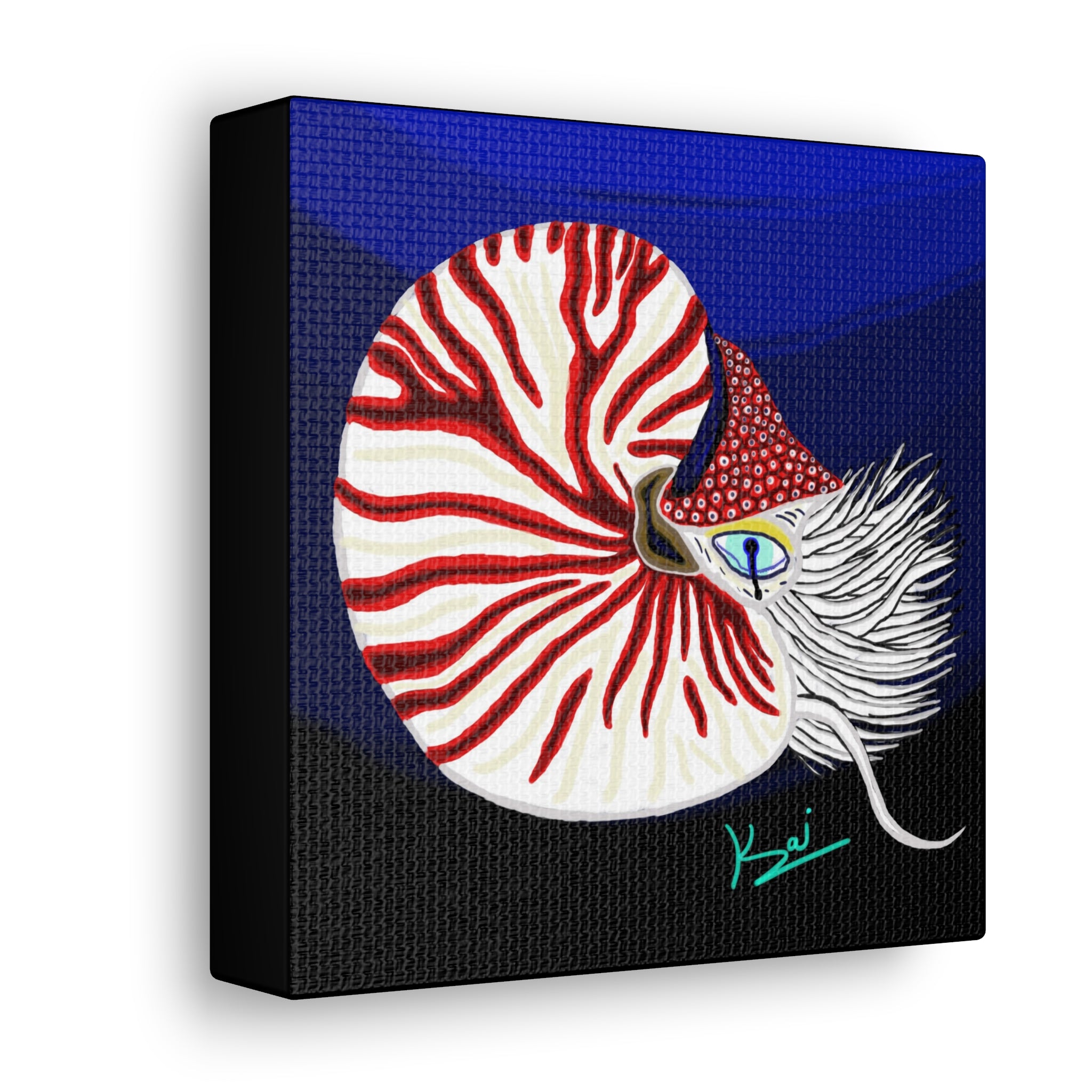 "Nautilus" By Kai Gentile Reproduced On Gallery Wrapped Canvas