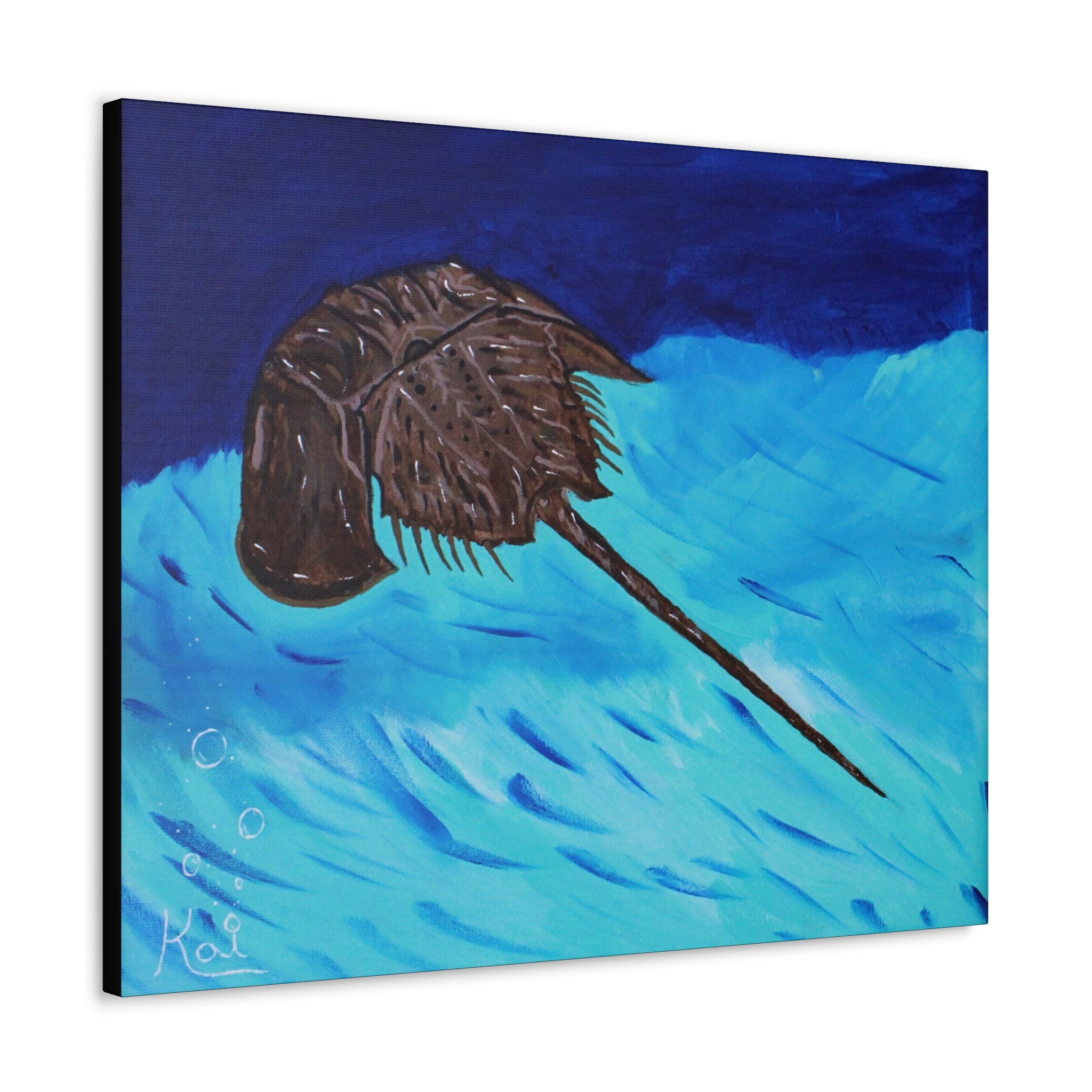 "Horseshoe Crab" By Kai Gentile Reproduced On Gallery Wrapped Canvas