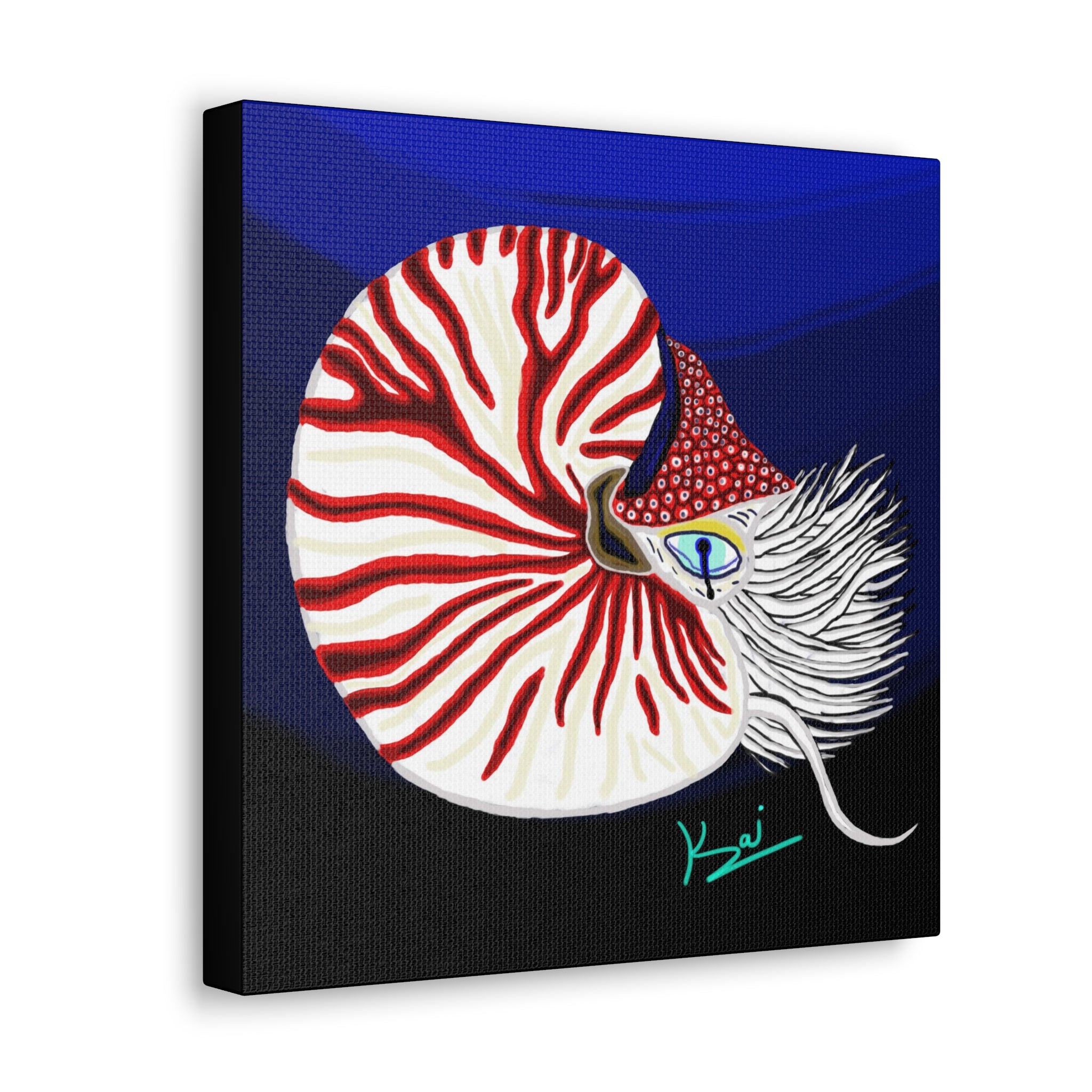 "Nautilus" By Kai Gentile Reproduced On Gallery Wrapped Canvas