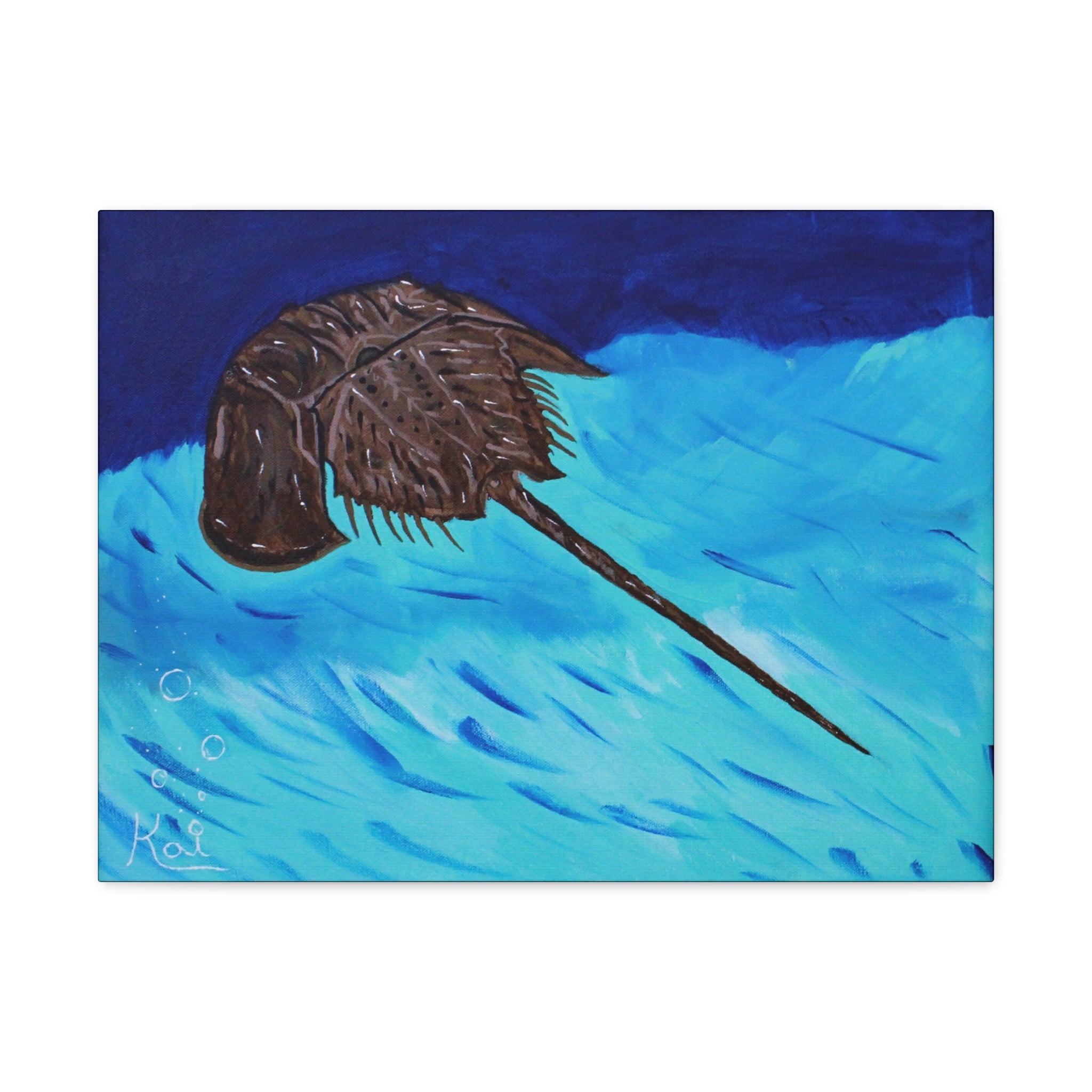 "Horseshoe Crab" By Kai Gentile Reproduced On Gallery Wrapped Canvas