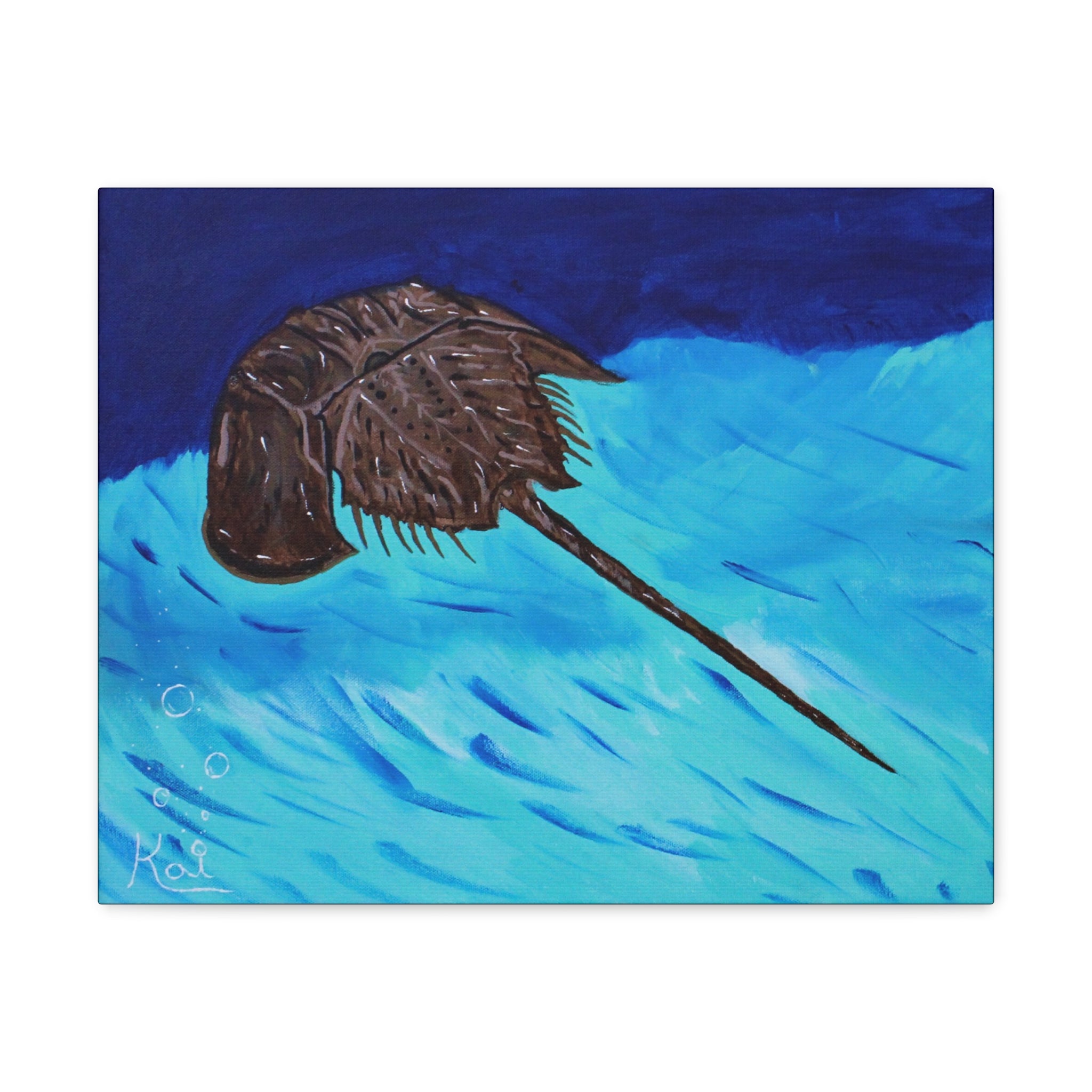 "Horseshoe Crab" By Kai Gentile Reproduced On Gallery Wrapped Canvas