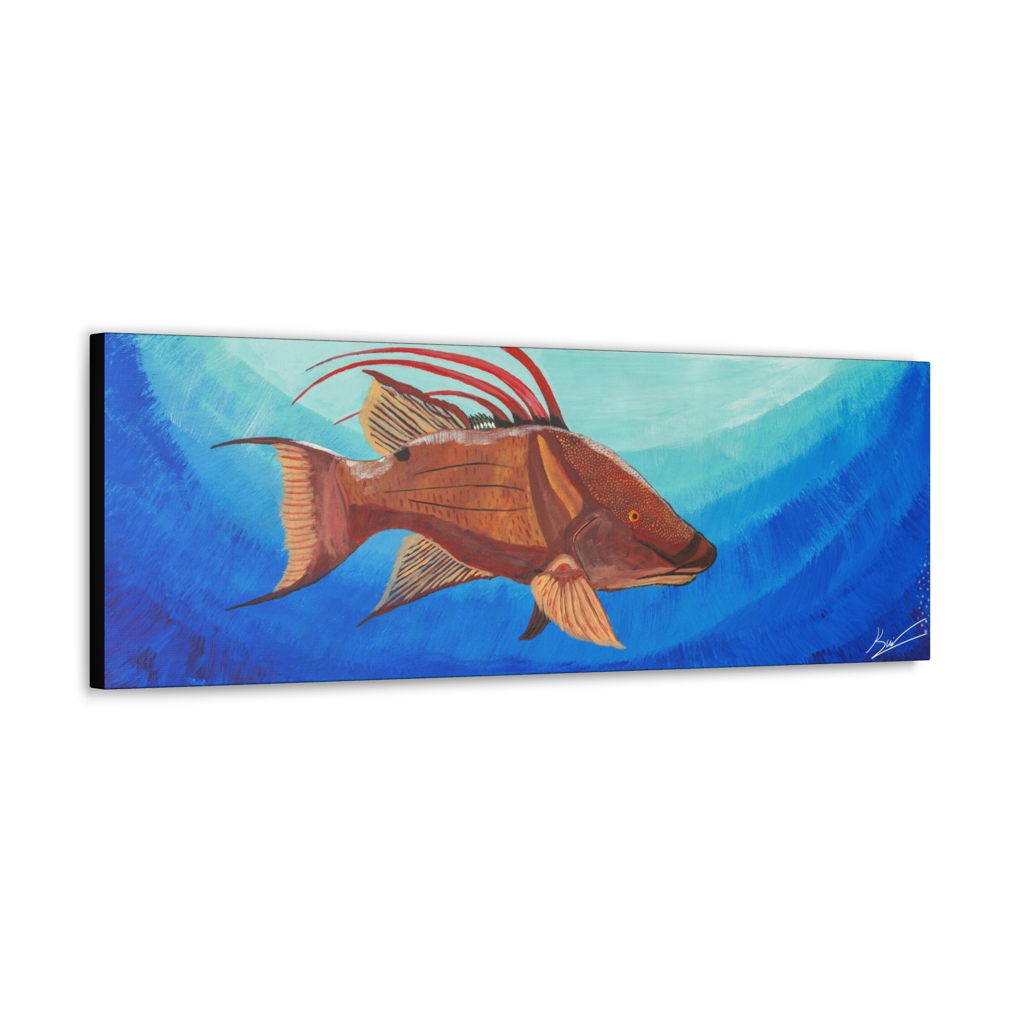 "Hogfish" By Kai Gentile Reproduced On Gallery Wrapped Canvas