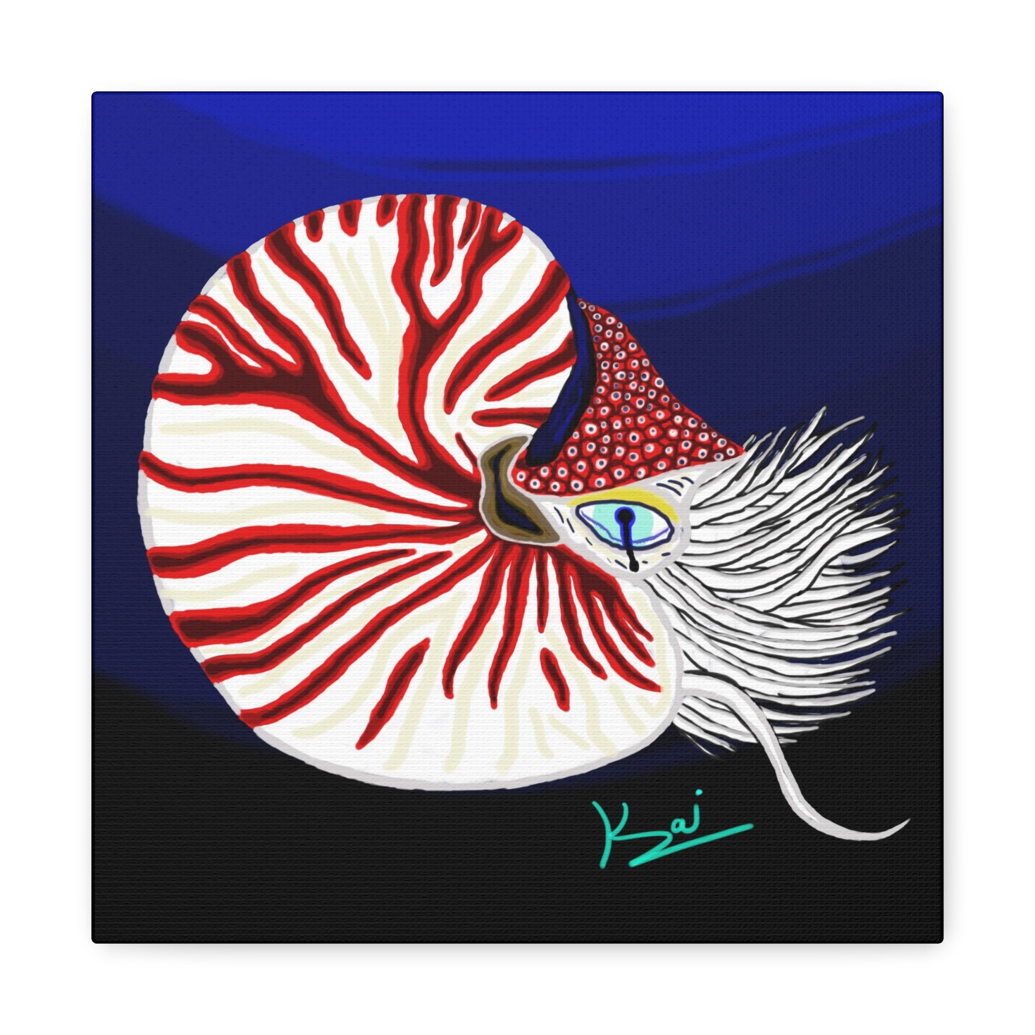 "Nautilus" By Kai Gentile Reproduced On Gallery Wrapped Canvas