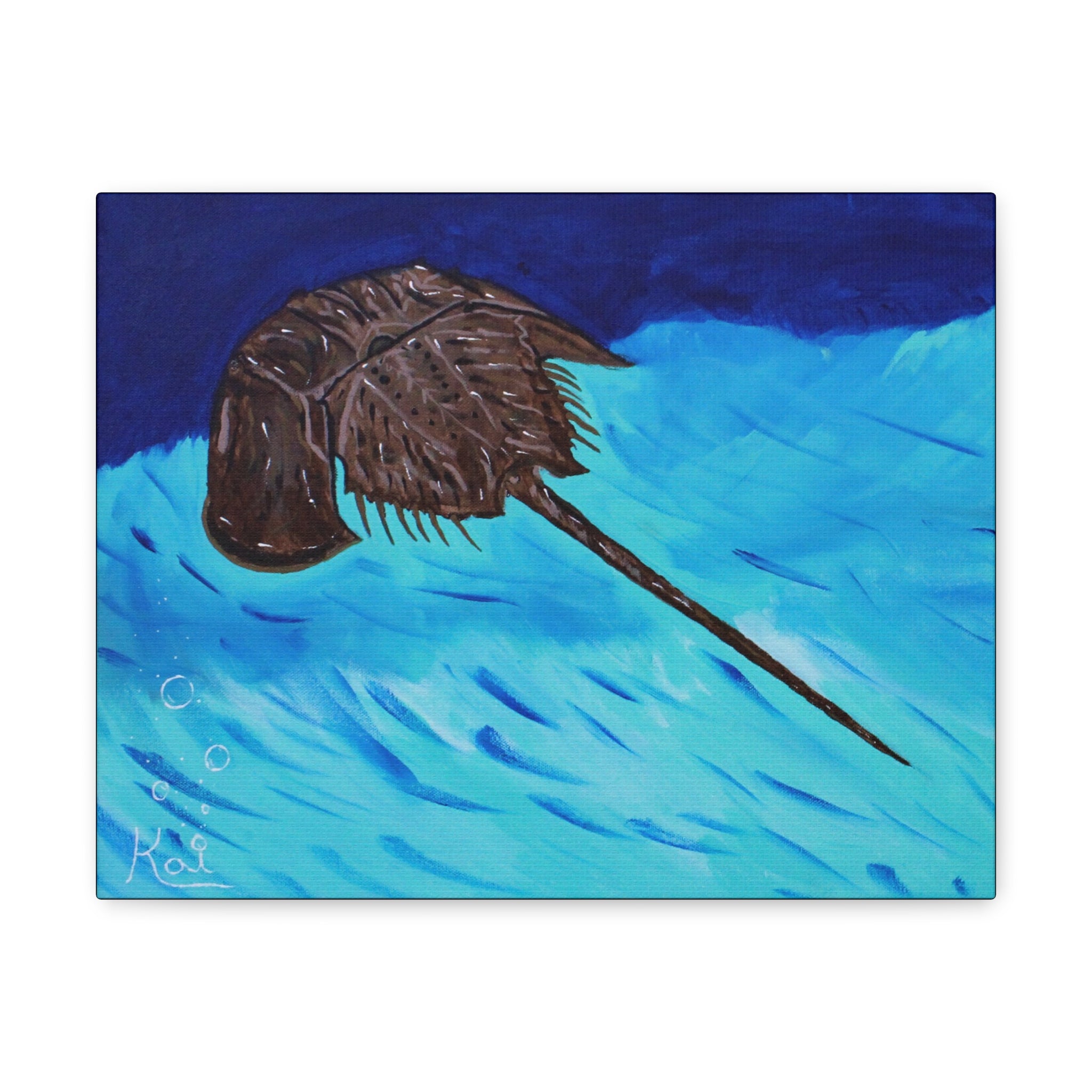 "Horseshoe Crab" By Kai Gentile Reproduced On Gallery Wrapped Canvas