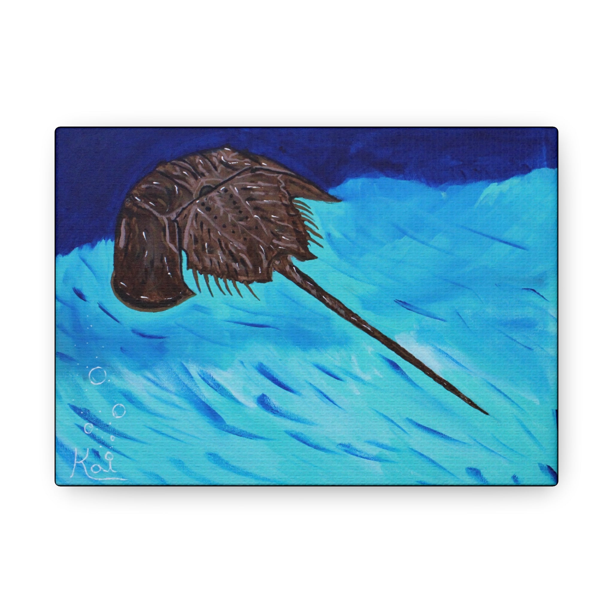 "Horseshoe Crab" By Kai Gentile Reproduced On Gallery Wrapped Canvas