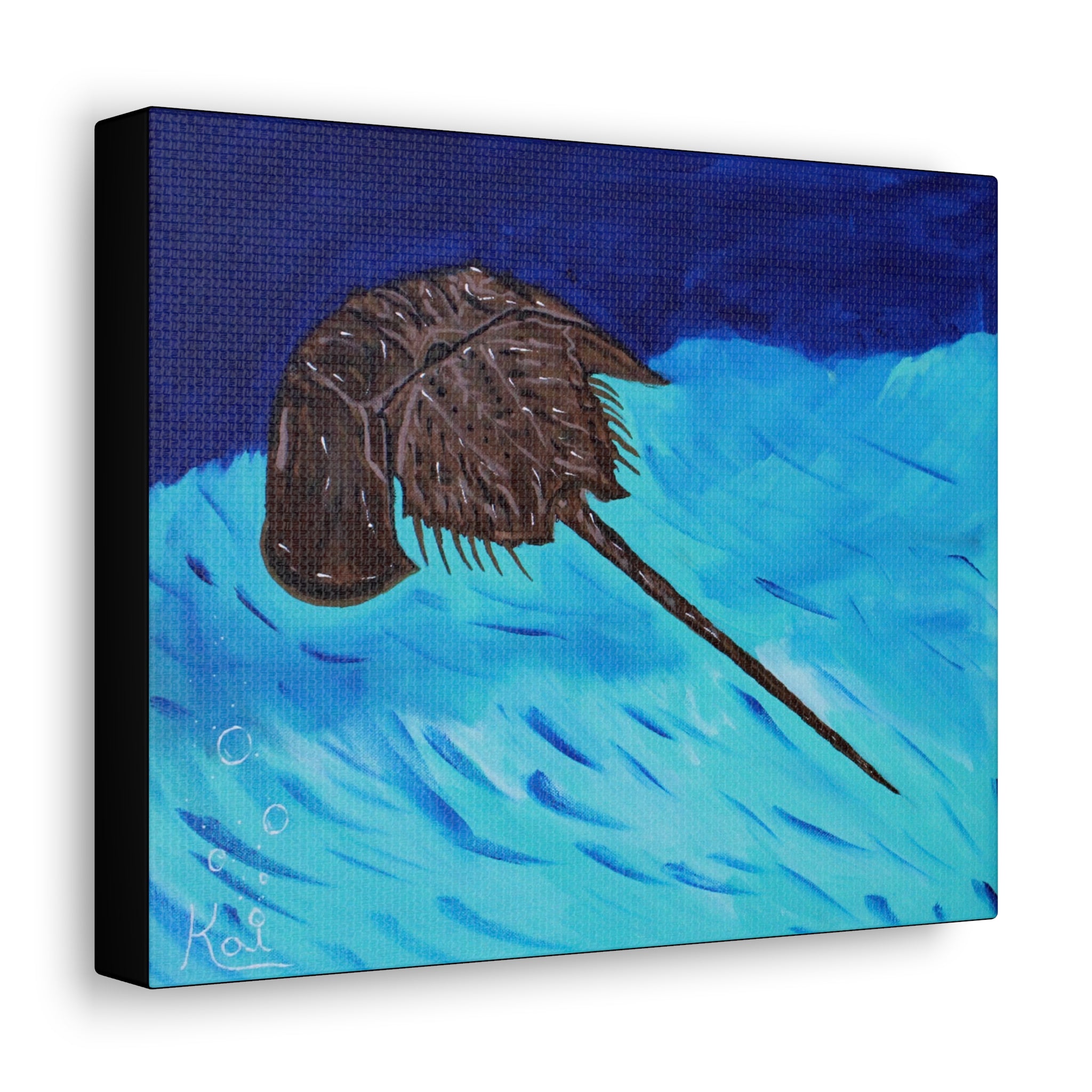 "Horseshoe Crab" By Kai Gentile Reproduced On Gallery Wrapped Canvas