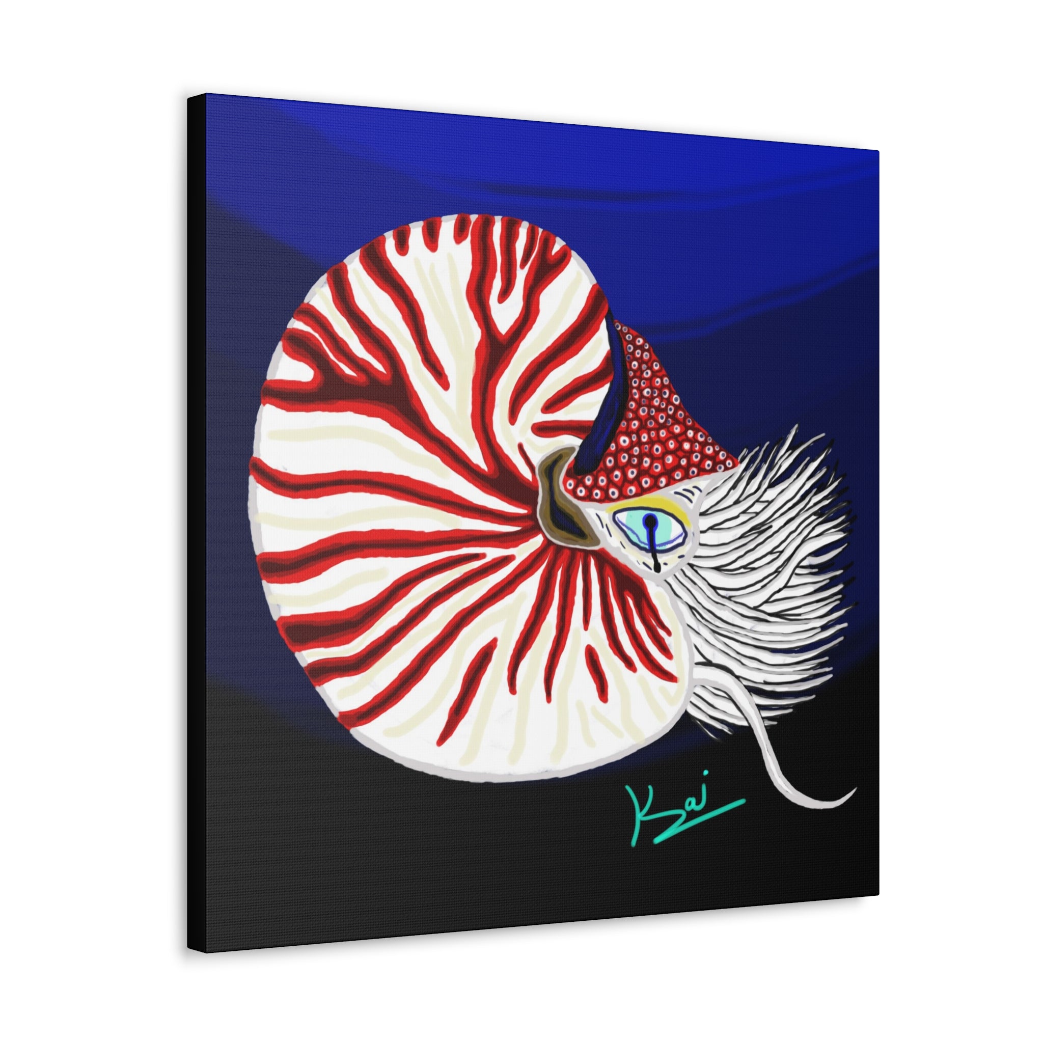 "Nautilus" By Kai Gentile Reproduced On Gallery Wrapped Canvas