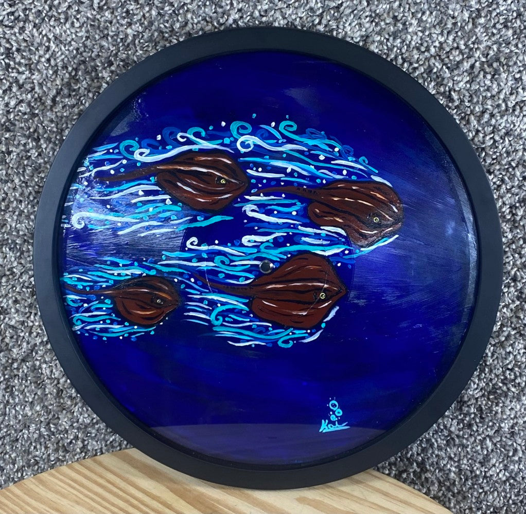 StingraysVinylRecord12InchFramed1.jpg