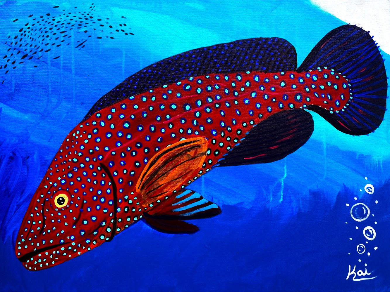 StrawberryGrouper_KaiGentile.jpg