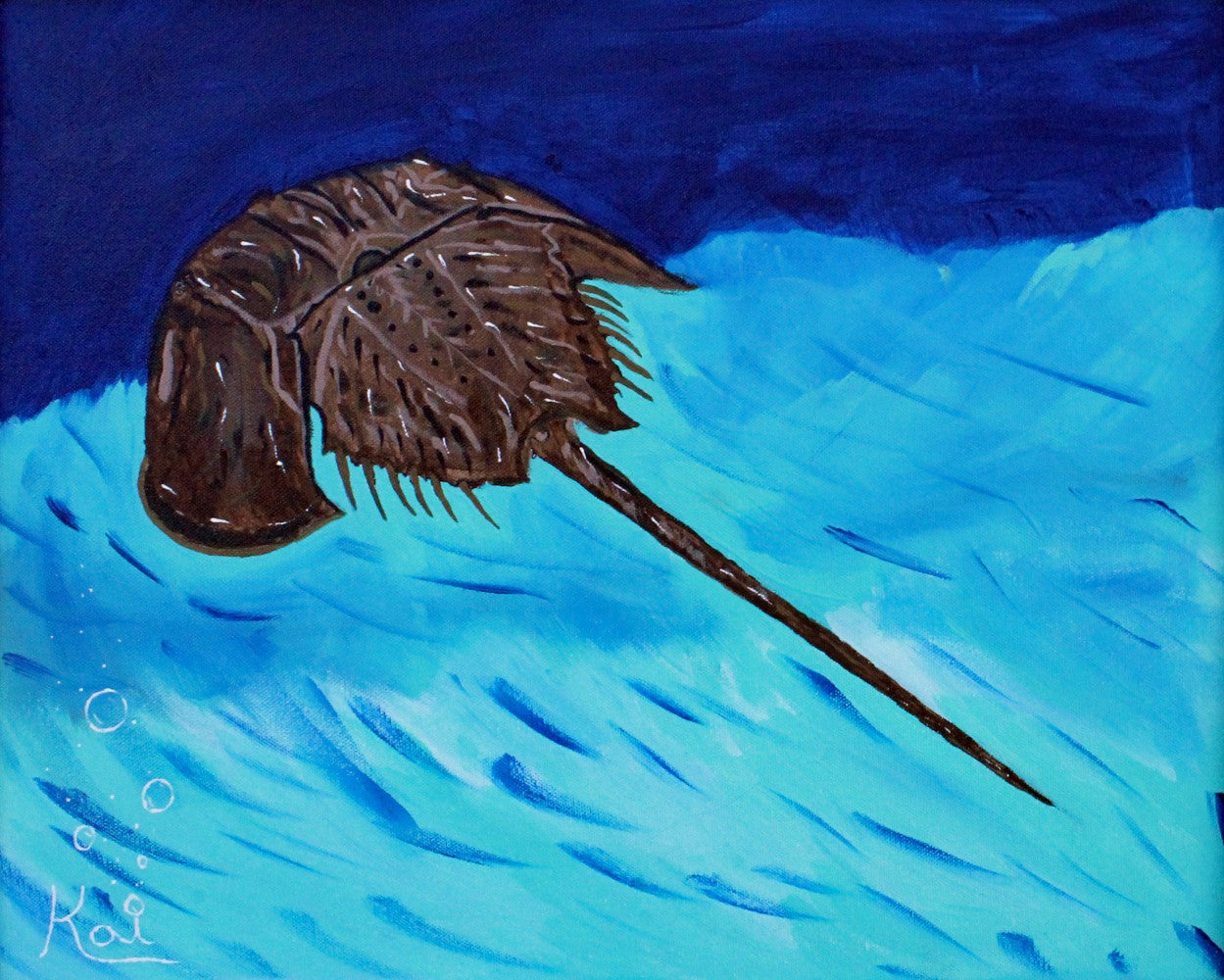 "Cruisin' Horseshoe Crab" By Kai Gentile Original Painting