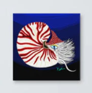 nautilus_canvas.jpg