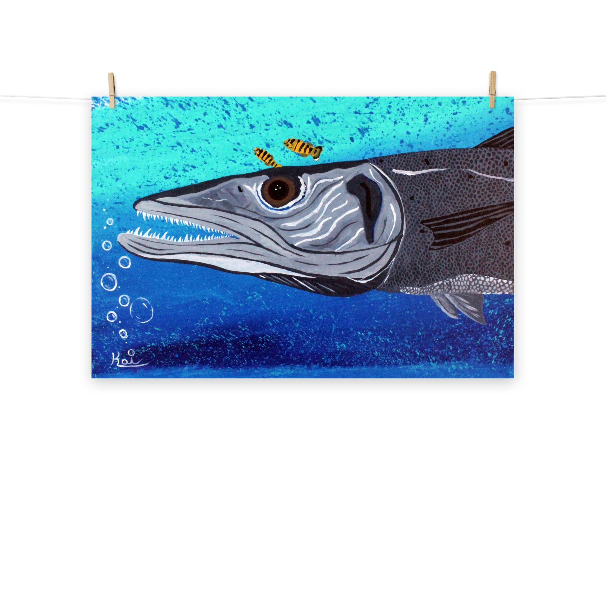 "Ooh! Barracuda" By Kai Gentile, Printed on Luster Photo Paper